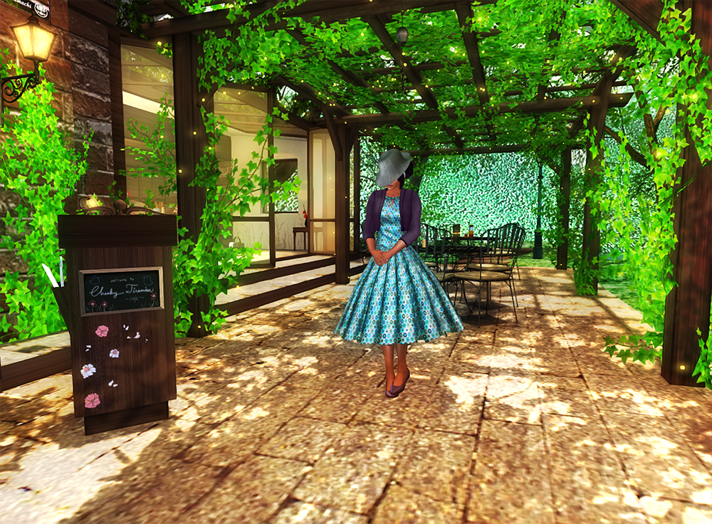 Snapshot_016a