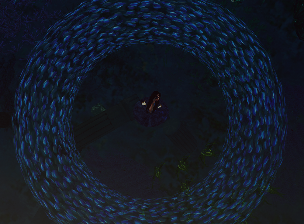Snapshot_004a