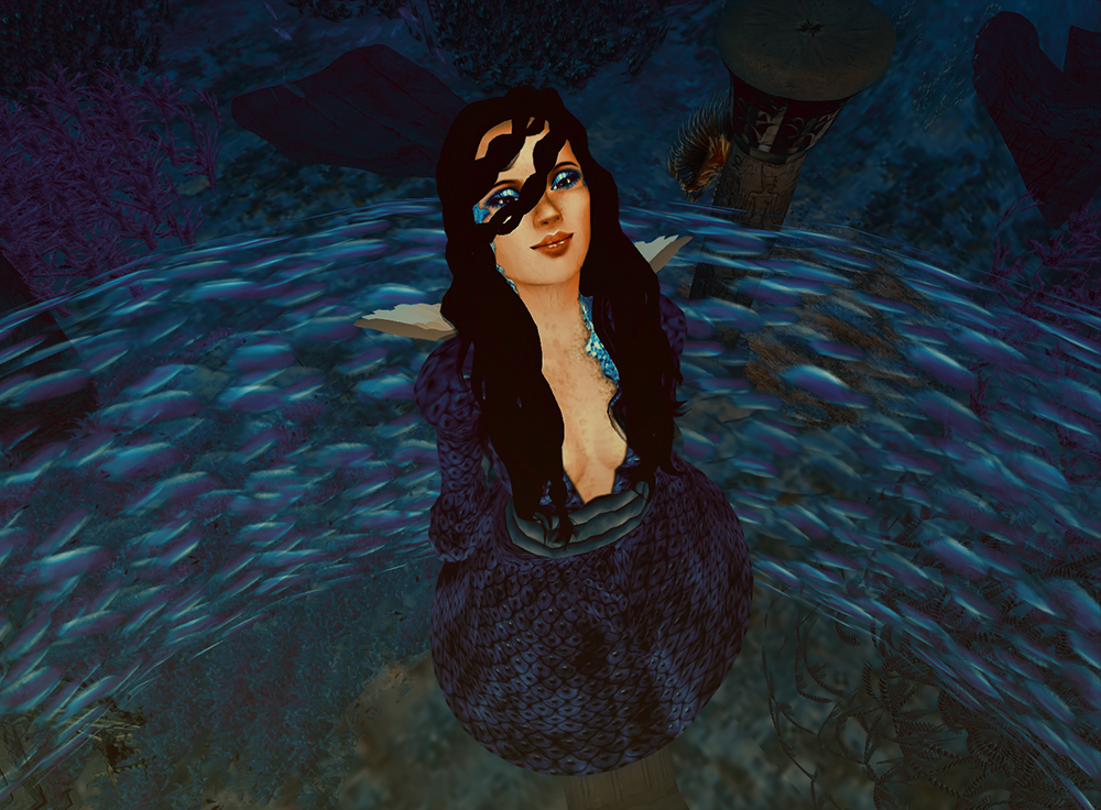 Snapshot_006a
